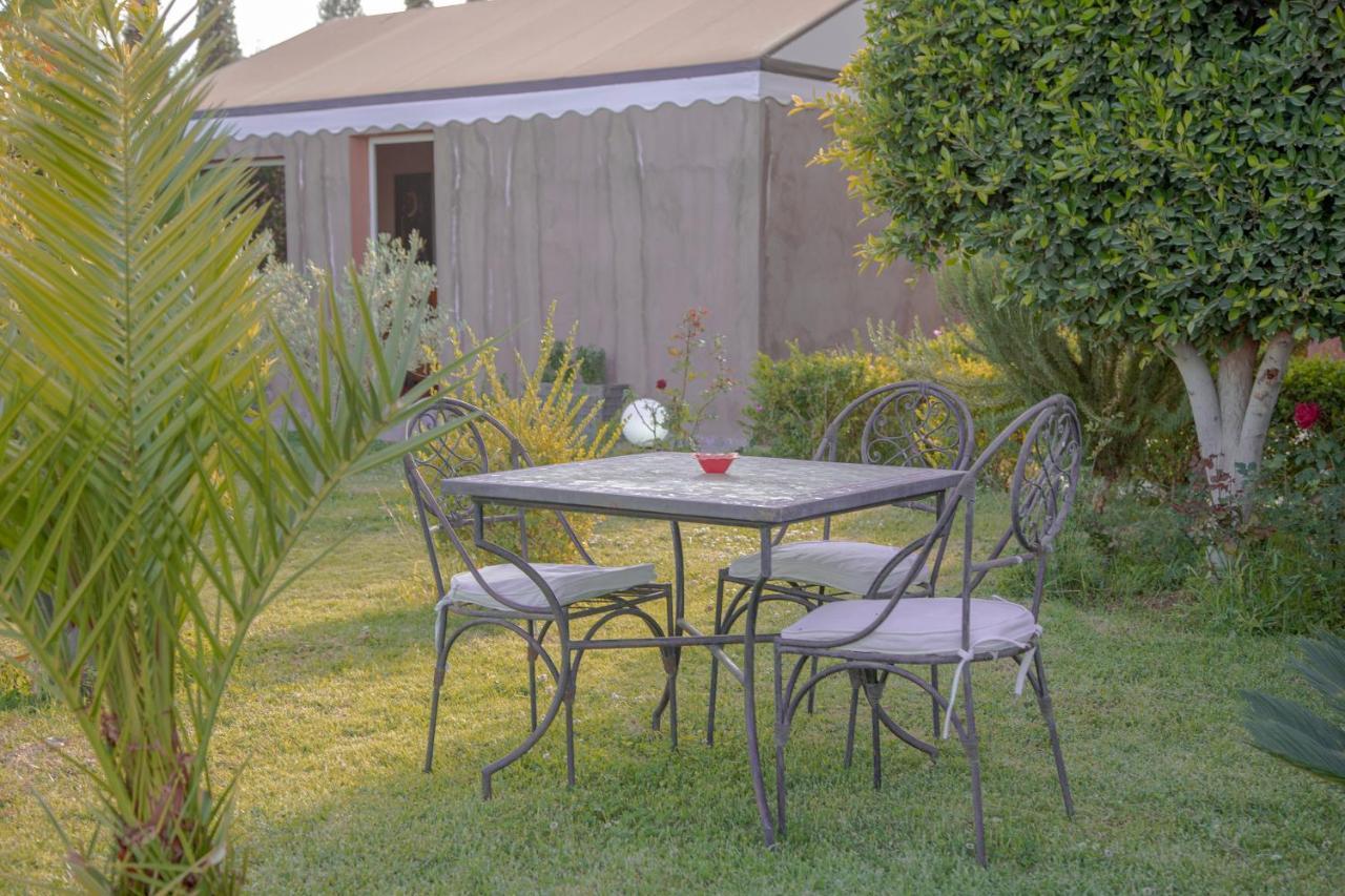 Jnanat Aicha Guesthouse Wawizelte 외부 사진